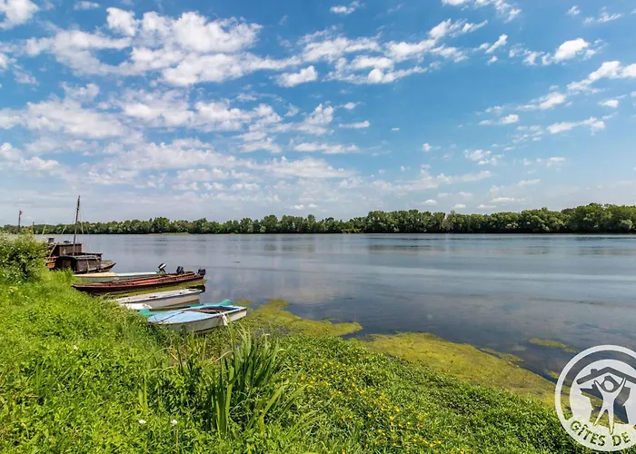D'hotes Elegantes A Avec Piscine Chauffee Et Wifi - Fr-1-622-115
