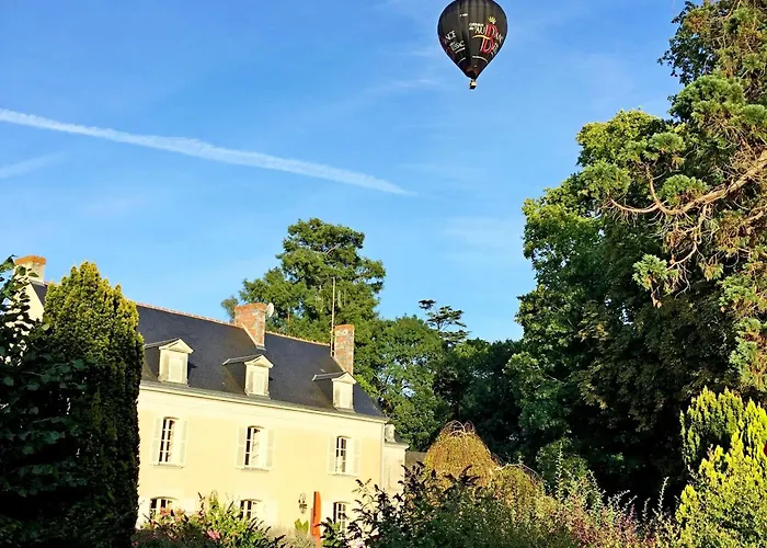 D'hotes Elegantes A Avec Piscine Chauffee Et Wifi - Fr-1-622-115 *